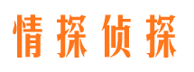 介休市婚外情取证